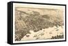 Birds Eye View of Jacksonville, Fla., Circa 1876, USA, America-null-Framed Stretched Canvas