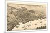 Birds Eye View of Jacksonville, Fla., Circa 1876, USA, America-null-Mounted Giclee Print