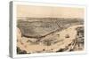 Birds' Eye View of New Orleans Drawn from Nature on Stone, Circa 1851, USA, America-John Bachmann-Stretched Canvas