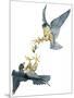 Birds: Falconiformes, Couple of Peregrine Falcon (Falco Peregrinus) Chasing for Prey-null-Mounted Giclee Print