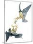 Birds: Falconiformes, Couple of Peregrine Falcon (Falco Peregrinus) Chasing for Prey-null-Mounted Giclee Print