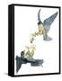 Birds: Falconiformes, Couple of Peregrine Falcon (Falco Peregrinus) Chasing for Prey-null-Framed Stretched Canvas