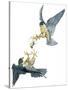 Birds: Falconiformes, Couple of Peregrine Falcon (Falco Peregrinus) Chasing for Prey-null-Stretched Canvas