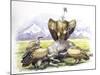 Birds: Falconiformes, Eurasian Griffon Vulture, (Gyps Fulvus) Feeding on Dead Animal-null-Mounted Giclee Print