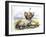 Birds: Falconiformes, Eurasian Griffon Vulture, (Gyps Fulvus) Feeding on Dead Animal-null-Framed Giclee Print