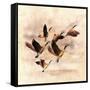 Birds Fly Away 1-Ata Alishahi-Framed Stretched Canvas