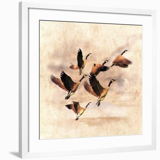 Birds Fly Away 1-Ata Alishahi-Framed Giclee Print