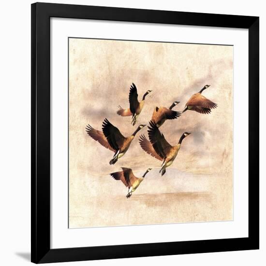 Birds Fly Away 1-Ata Alishahi-Framed Giclee Print