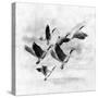 Birds Fly Away 2-Ata Alishahi-Stretched Canvas