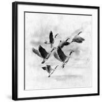 Birds Fly Away 2-Ata Alishahi-Framed Giclee Print