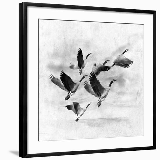 Birds Fly Away 2-Ata Alishahi-Framed Giclee Print