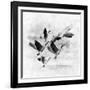 Birds Fly Away 2-Ata Alishahi-Framed Giclee Print