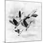 Birds Fly Away 2-Ata Alishahi-Mounted Giclee Print