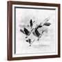 Birds Fly Away 2-Ata Alishahi-Framed Giclee Print