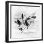 Birds Fly Away 2-Ata Alishahi-Framed Giclee Print