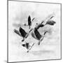 Birds Fly Away 2-Ata Alishahi-Mounted Giclee Print