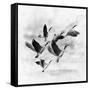 Birds Fly Away 2-Ata Alishahi-Framed Stretched Canvas