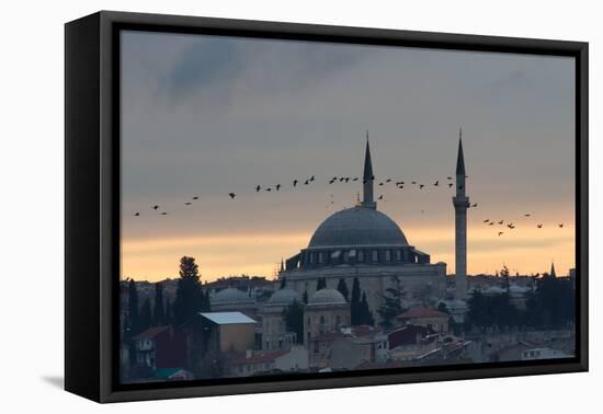 Birds Fly by a Mosque at Sunset-Alex Saberi-Framed Stretched Canvas