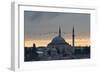 Birds Fly by a Mosque at Sunset-Alex Saberi-Framed Premium Photographic Print