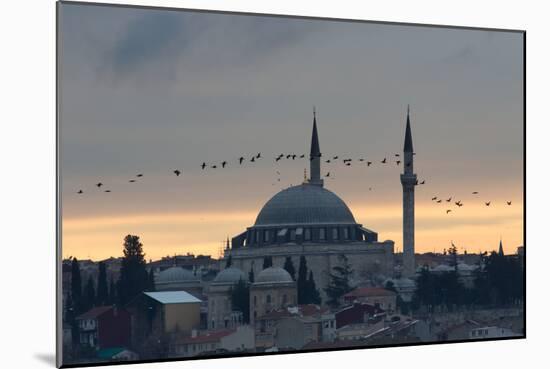 Birds Fly by a Mosque at Sunset-Alex Saberi-Mounted Photographic Print