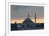 Birds Fly by a Mosque at Sunset-Alex Saberi-Framed Photographic Print