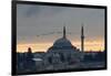 Birds Fly by a Mosque at Sunset-Alex Saberi-Framed Photographic Print