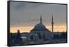 Birds Fly by a Mosque at Sunset-Alex Saberi-Framed Stretched Canvas