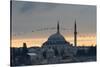 Birds Fly by a Mosque at Sunset-Alex Saberi-Stretched Canvas