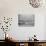 Birds Flying over the Waters of Lake Michigan in Indiana Dunes State Park-Michael Rougier-Stretched Canvas displayed on a wall