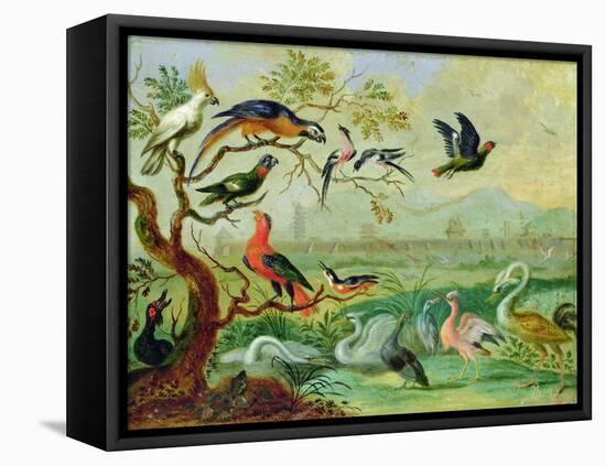 Birds from the Four Continents in a Landscape with a View of Peking in the Background (Oil on Coppe-Ferdinand van Kessel-Framed Stretched Canvas