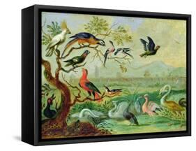 Birds from the Four Continents in a Landscape with a View of Peking in the Background (Oil on Coppe-Ferdinand van Kessel-Framed Stretched Canvas