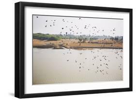 Birds I-Karyn Millet-Framed Photographic Print