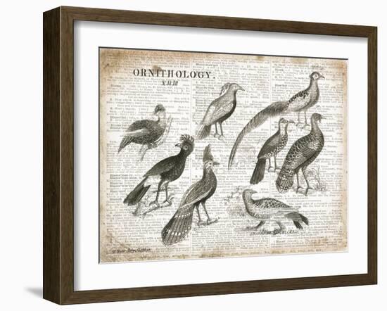 Birds I-Gwendolyn Babbitt-Framed Art Print