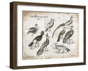 Birds I-Gwendolyn Babbitt-Framed Art Print