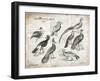 Birds I-Gwendolyn Babbitt-Framed Art Print