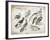 Birds I-Gwendolyn Babbitt-Framed Art Print