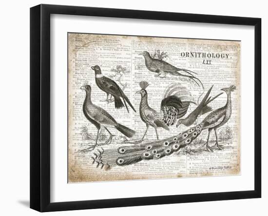 Birds II-Gwendolyn Babbitt-Framed Art Print
