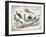 Birds II-Gwendolyn Babbitt-Framed Art Print