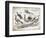 Birds II-Gwendolyn Babbitt-Framed Art Print