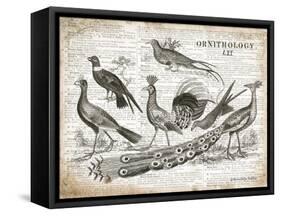 Birds II-Gwendolyn Babbitt-Framed Stretched Canvas