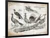 Birds II-Gwendolyn Babbitt-Framed Art Print