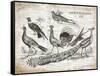 Birds II-Gwendolyn Babbitt-Framed Stretched Canvas