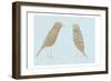 Birds II-Boho Hue Studio-Framed Art Print