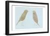 Birds II-Boho Hue Studio-Framed Art Print