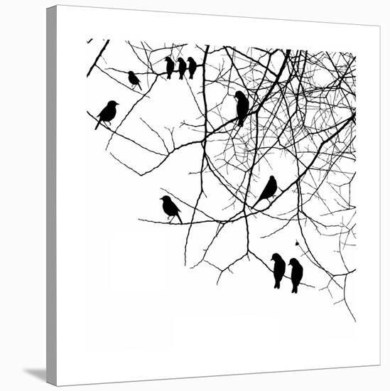 Birds in a Tree-null-Stretched Canvas