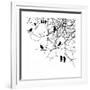 Birds in a Tree-null-Framed Premium Giclee Print