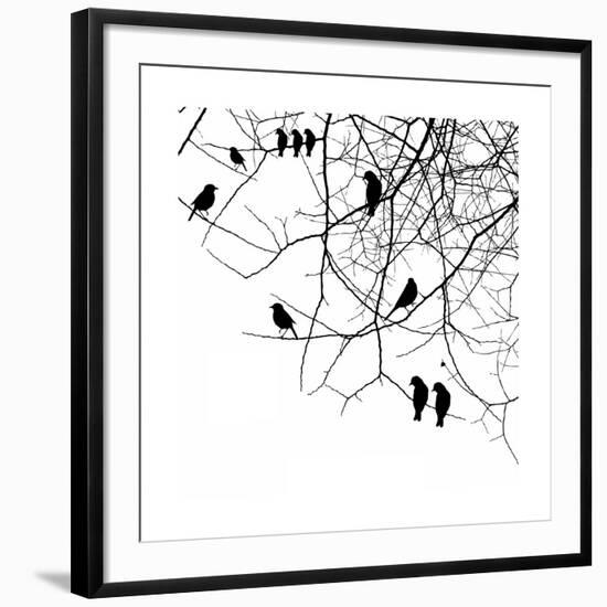 Birds in a Tree-null-Framed Art Print