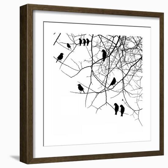 Birds in a Tree-null-Framed Art Print