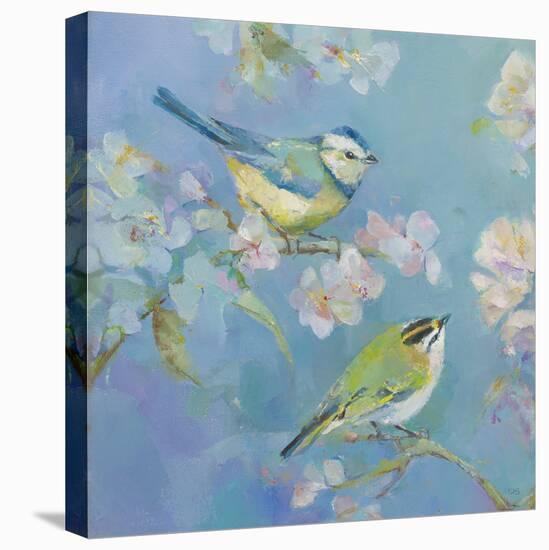 Birds in Blossom - Detail I-Sarah Simpson-Stretched Canvas