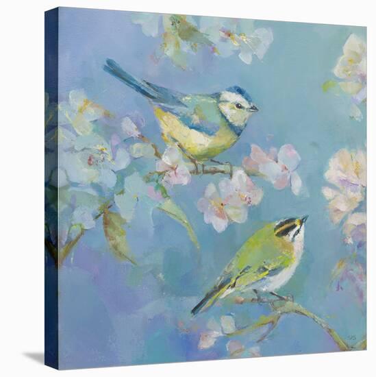 Birds in Blossom - Detail I-Sarah Simpson-Stretched Canvas
